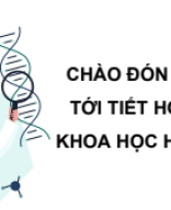 Bài 41. Đột biến gene.pdf