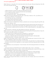 60. Bai 17 Arene (hydrocarbon thơm) - KNTT. Nguyen Hoai Bao - OK.docx