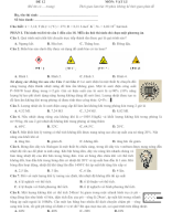 ĐỀ SỐ 12 - BÁM SÁT ĐỀ MINH HỌA MÔN VẬT LÝ 2025.docx