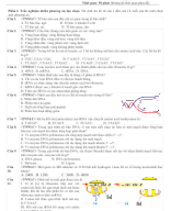 ĐỀ 02__CHUYÊN ĐỀ__DTPT__IN HS.docx