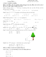 7. DE HK1 TOAN 9 KNTT- SO 7.docx