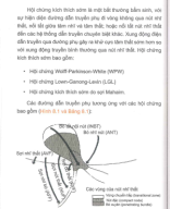 8 hội chứng kích thích sớm.pdf