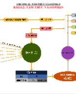 II.2. Tâm thức và số phận.pptx