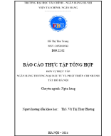 BÁO CÁO THỰC TẬP - HỒ THỊ THU TRANG - 2052010542.docx