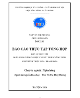 BÁO CÁO THỰC TẬP - NGUYỄN THỊ PHƯỢNG - 2052010423- D092203.docx