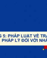 Chương 5 Pháp luật về trách nhiệm pháp lý đối với nhà quản trị.pdf