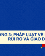 Chương 3 Pháp luật về kiểm soát rủi ro và giao dịch tư lợi.pdf