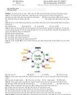 Đề thi thử TN THPT 2025 - Cấu trúc mới - Môn Sinh Học - Đề 16 - File word có lời giải.docx