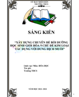 4003.SKKN - CHUYÊN ĐỀ BỒI DƯỠNG HSG HÓA 9 - KIM LOẠI TÁC DỤNG VỚI DUNG DỊCH MUỐI.pdf