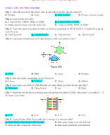 PHẦN I - CÂU HỎI TRẮC NGHIỆM DNA VÀ TÍNH TOÁN DNA - GV.docx