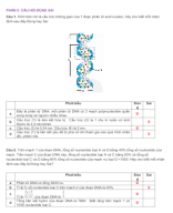 PHẦN II CÂU HỎI ĐÚNG SAI DNA VÀ TÍNH TOÁN DNA  - GV.docx