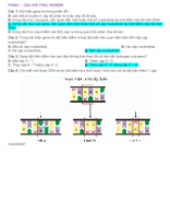 PHẦN I - CÂU HỎI TRẮC NGHIỆM ĐỘT BIẾN GENE - GV.docx