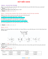 PHẦN III - CÂU HỎI TRẢ LỜI NGẮN ĐỘT BIẾN GENE - GV.docx