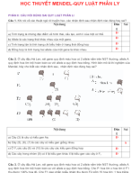 PHẦN II. CÂU HỎI ĐÚNG SAI - HỌC THUYẾT MENDEL-QUY LUẬT PHÂN LY - GV.docx