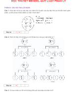 PHẦN III .CÂU HỎI NGẮN - HỌC THUYẾT MENDEL-QUY LUẬT PHÂN LY - GV.docx