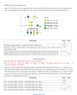 PHẦN II CÂU HỎI ĐÚNG SAI - QUY LUẬT PHÂN LY ĐỘC LẬP - GV.docx