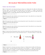 PHẦN III CÂU HỎI TRẢ LỜI NGẮN - ĐA ALLELE TRỘI KHÔNG HOÀN TOÀN - HS.docx