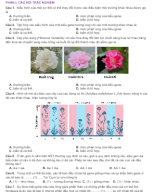 PHẦN I . CÂU HỎI TRẮC NGHIỆM  - HS.docx