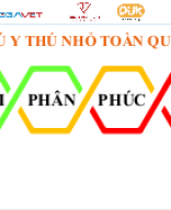 THẨM PHÂN PHÚC MẠC.pptx