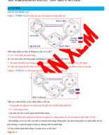 Chuyên đề 11. QUẦN XÃ - DT.pdf