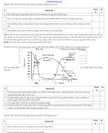 CÂU HỎI ĐÚNG SAI VIRUS.docx