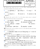 đề 33-36 Đ.A ĐỀ THI THỬ TUYỂN SINH.docx