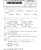 đề 41-44 Đ.A ĐỀ THI THỬ TUYỂN SINH.docx