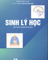 sinh lý học y hà nội 2022.pdf