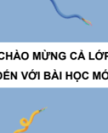 C3_Bài 12. Hiện tượng cảm ứng điện từ.pdf