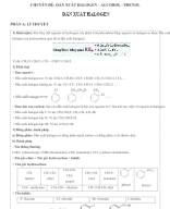 Chuyên Đề 30 - DẪN XUẤT HALOGEN - ALCOHOL - PHENOL.docx