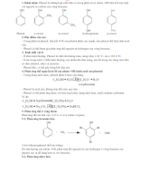 21.  PHENOL-GV.docx