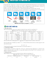 Bài 25. Nguyên tố nhóm IIA - GV.docx