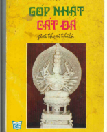 B 248.43_Góp nhặt cát đá-Đỗ Đình Đồng dịch.pdf