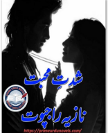 Shiddat e mohabbat Complete.pdf