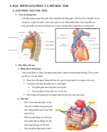SINH LÝ TIM.pdf