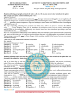 16. ĐỀ VIP 16 - PHÁT TRIỂN ĐỀ MINH HỌA MÔN ANH 2025 - MT10.Image.Marked.pdf