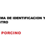 TEMA 24 - NORMATIVA DE IDENTIFICACIÓN Y REGISTRO PORCINO.pdf