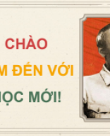 Bài 13. Việt Nam trong năm đầu sau Cách mạng tháng Tám năm 1945.pdf