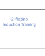 Gliflozino Module 1_T2DM_T395_20250209 Day 1.pdf