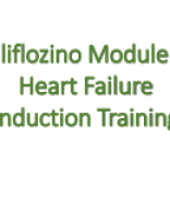 Gliflozino Module 2_HF_T395_20250209.pdf