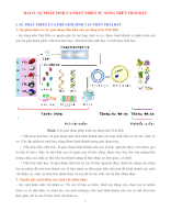 KHTN 9 - SINH HỌC - BÀI 51. SỰ PHÁT SINH VÀ PHÁT TRIỂN SỰ SỐNG TRÊN TRÁI ĐẤT - HS.docx