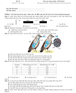 Đề thi thử TN THPT 2025 - Cấu trúc mới - Môn Sinh Học - Đề 7 - File word có lời giải.docx