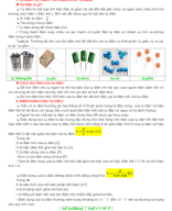 21 - KNTT - TỤ ĐIỆN - HỌC SINH.docx