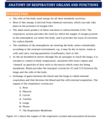 20. ANATOMY OF RESPIRATORY ORGANS AND FUNCTIONS.pdf