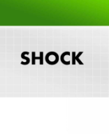 5.Shock.pdf