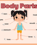 TOPIC 3-BODY PARTS.pptx