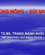 1. SLIDE CHI DƯỚI.pdf