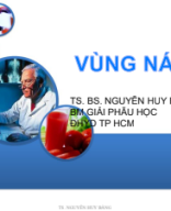 1. SLIDE CHI TRÊN YDS.pdf