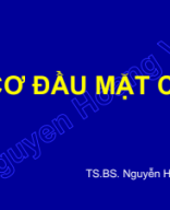 1. SLIDE ĐẦU CỔ YDS.pdf