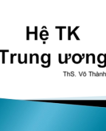 1. SLIDE THẦN KINH YDS.pdf